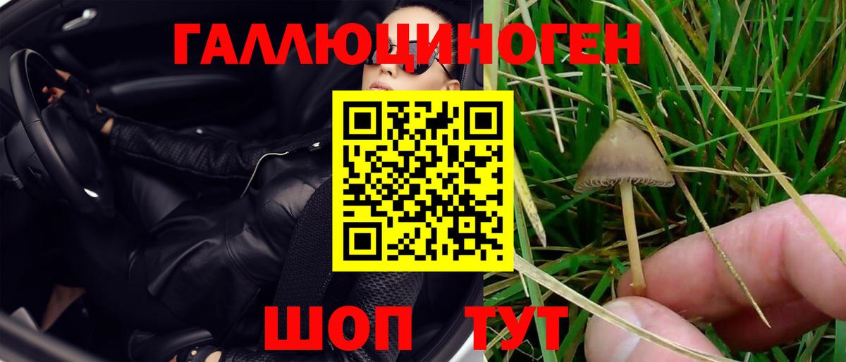 Псилоцибиновые грибы Psilocybe  Вход с VPN  Торжок  Псилоцибиновые грибы Magic Shrooms 
